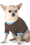 Personalized Pet Clothing